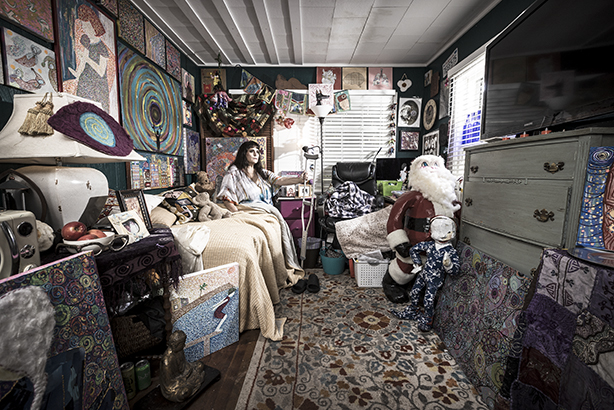 Habitat, Mount Sequoyah Studios, Shelley (for web)